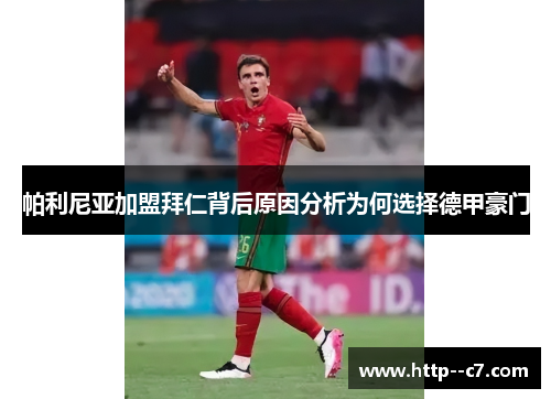 帕利尼亚加盟拜仁背后原因分析为何选择德甲豪门